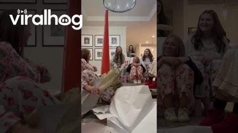 POV: The White Elephant budget was $0 || ViralHog