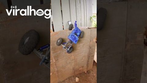 RC Truck Crawls Over Parkour Course || ViralHog