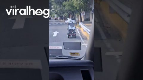 Grandma on the Go! || ViralHog