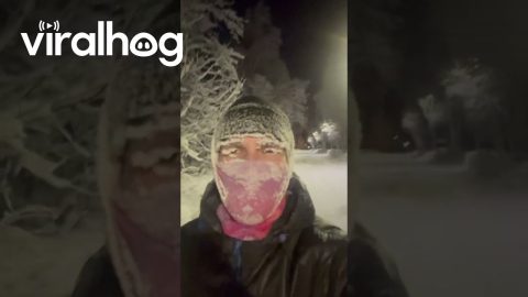 Running in Lapland || ViralHog