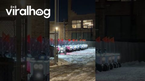 Delivery Robots Assemble || ViralHog