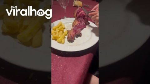 Steak Served Half Raw || ViralHog