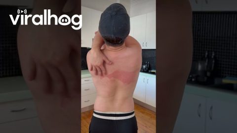 And How Exactly Did You Apply the Sunscreen? || ViralHog