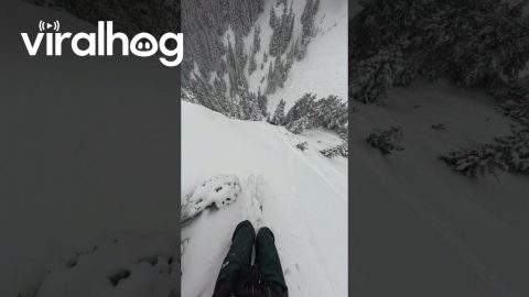 Off-Piste Skiing in Courchevel, France || ViralHog