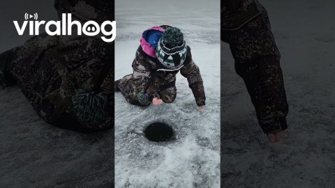 Ice Fishing Son Catches Pike Like A Pro || ViralHog