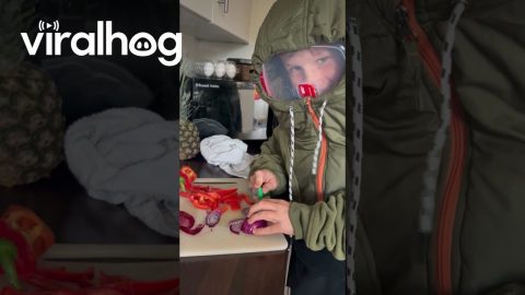 Son's Method To Prevent Onion Cutting Sting || ViralHog