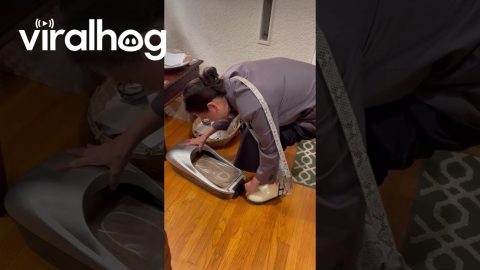 Sanitary Shoe Cover Dispenser || ViralHog
