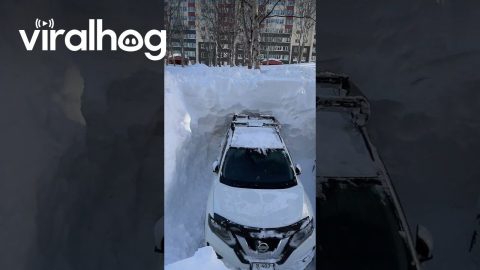 Cars Need to be Excavated after "Snow Apocalypse" in Kamchatka, Russia || ViralHog