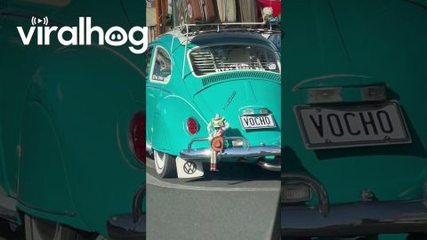Woody and Buzz in a Predicament on a VW Beetle || ViralHog