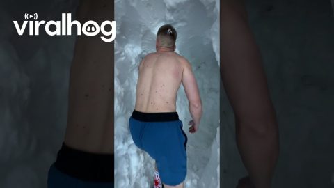 Tunneling To The Gym After Extreme Snowfall || ViralHog