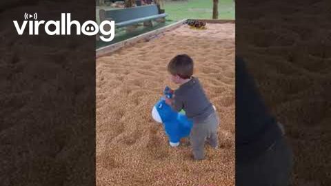 Boy Hops Toy Horse Head-First Into Corn || ViralHog