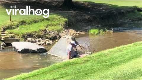 Golfer Falls in Creek || ViralHog