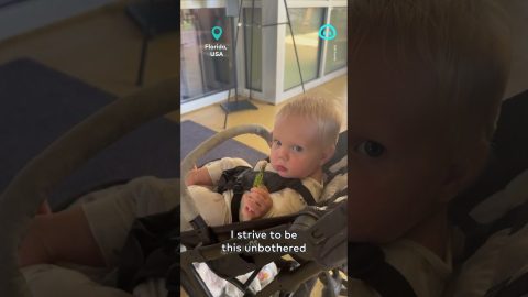 Baby Unbothered By Frog Jumping On Head || ViralHog Shorts