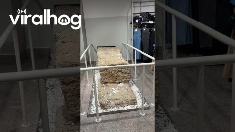Clothing Store Built Around Ancient Stone Ruins || ViralHog