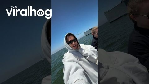 Seal on the Boat || ViralHog