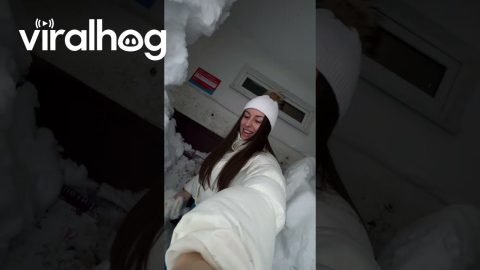 Building Entrance Buried in Snow || ViralHog
