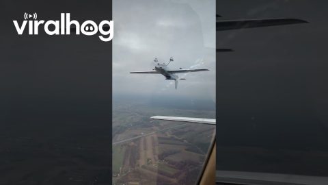 Guess Which Pilot Is From Australia || ViralHog