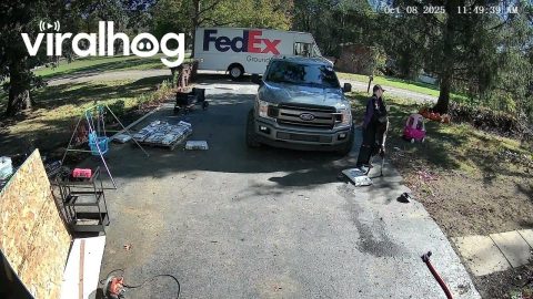Love Story Between My Dog and the FedEx Man || ViralHog