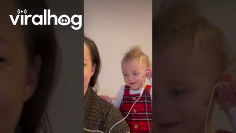 Baby Vibes With Mom's Music || ViralHog