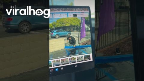 Unexpected Slip Caught on Dashcam || ViralHog