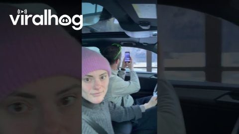 He Finally Let Her Drive... || ViralHog