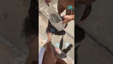 Life Hack for Washing Your Feet at the Beach || ViralHog Shorts