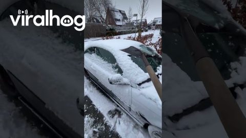 Guy Shovels Snow Off His BMW || ViralHog