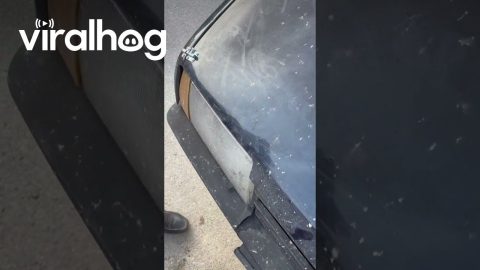 Broken Car Hood Kept Closed With Latches || ViralHog