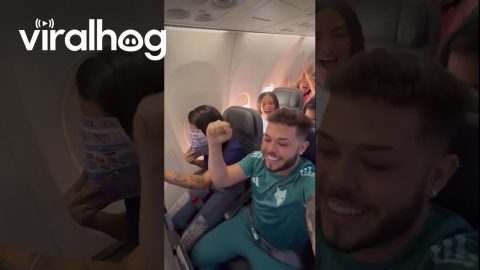 Passengers Cheer as Father-to-Be Reveals Baby News During Flight || ViralHog