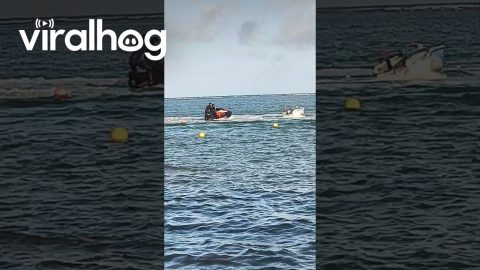 Stopping a Rogue Speed Boat || ViralHog
