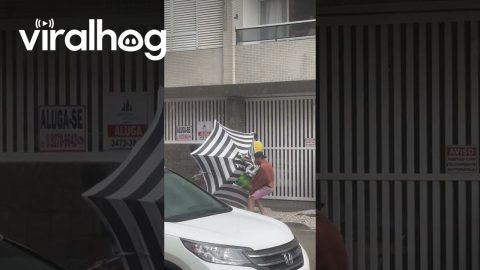 Beach Hero Fights Storm to Save Umbrella || ViralHog