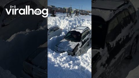 Extremely High Snow Piles On Russian Main Street || ViralHog