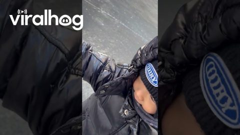 Child's Glove Sticks to Icy Car || ViralHog