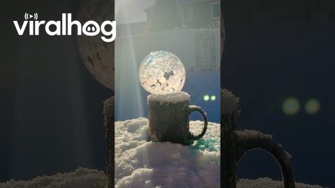 Soap Bubble Turns To Crystal Globe In Frigid Cold || ViralHog