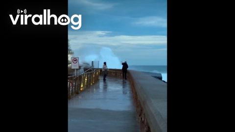 Giant Wave Drenches Adventurous Couple || ViralHog
