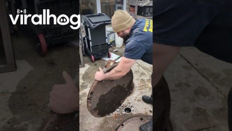 Manhole Cover Lifting At The Blue Collar Gym || ViralHog