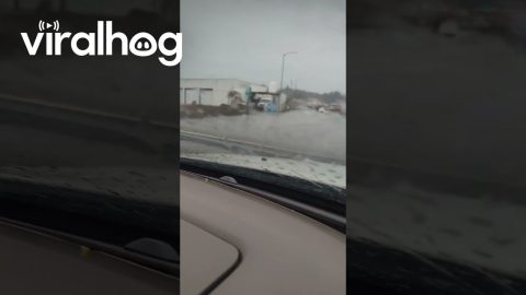 Flooding in Coos Bay, Oregon || ViralHog