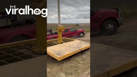 Pickup Pulls 30 Hay Bales Up a Steep Incline || ViralHog
