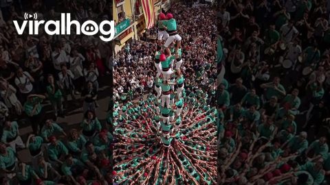 Nine Level Human Tower at All Saints Day Celebration || ViralHog