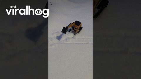 Miniature Excavator Works To Clear Snowfall || ViralHog