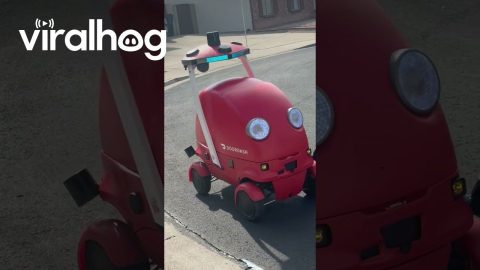 Man's Lunch Delivered by Robot || ViralHog