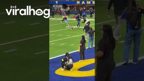 Corgi Evades Capture Until Being Tackled || ViralHog
