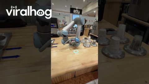 Robot Barista Spills Latte || ViralHog