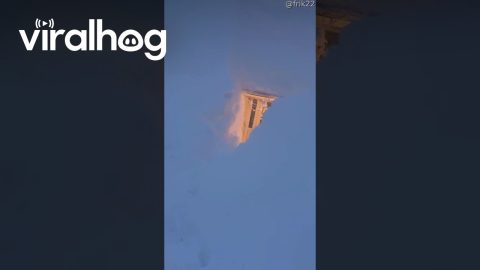 Store Entrance Buried in Snow || ViralHog