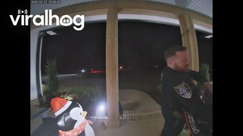 Covington Police Officer Delivers Order After Driver Gets Into Wreck || ViralHog