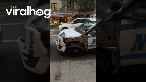 Did This Cop Car Hit A Can Opener || ViralHog