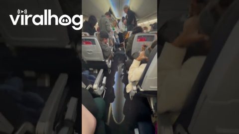Pipes Burst on Plane || ViralHog