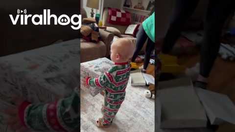 When You’re the First Baby and Grand Baby in the Family on Christmas || ViralHog