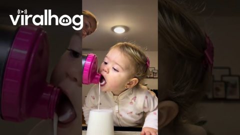 Little Daughter Trying Vanilla Shake || ViralHog