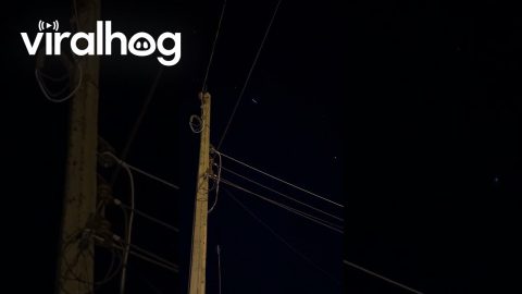 Telecommunications Satellites Over Interior of São Paulo || ViralHog